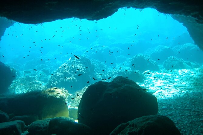 4h / 6h / 8h Elaphite Islands Tour with 7.5m/24FT SunDeck Boat - Sipan and Skocibuha castle: a bonus island for longer days