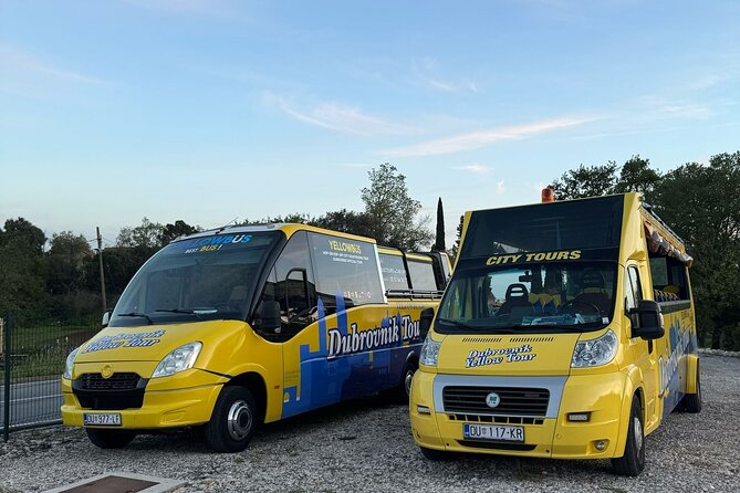 90 Minutes Cabrio Bus Sightseeing Tour of Dubrovnik - The biggest practical issue: timing and cruise-ship pressure