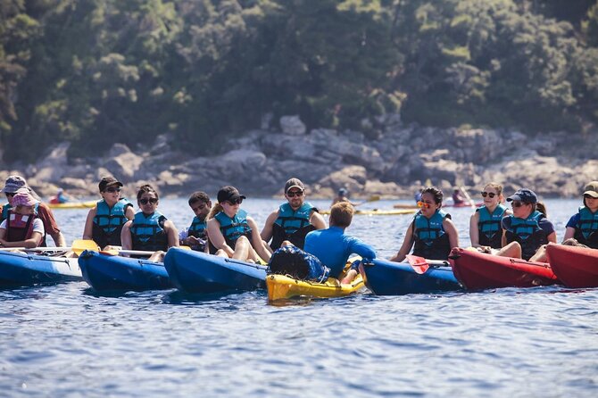 Afternoon Kayaking in Dubrovnik - Key things I’d prioritize before you book