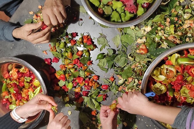 Authentic Garden to Table Cooking Class in Dubrovnik Countryside - Wine at the table and the family tree stories: culture with your meal