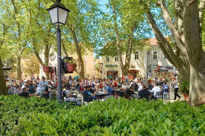 Bosnia Food and Wine Experience Tour - From Dubrovnik - Tuli village lunch: choose meat, fish, or vegetarian and pair it with homemade drinks
