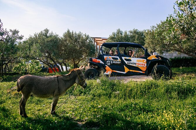 Buggy Dubrovnik Safari Tour (Private) - Price and Value: Is $156.20 Worth It for 3 Hours?