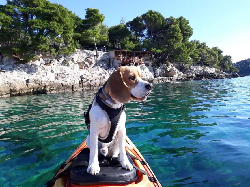 Cavtat: 'Pomalo' Guided Sea Kayaking Tour - Where you start: Beach Blato under Restaurant Ludo More