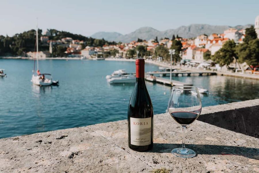 Cavtat Wine Experience: Tasting at Wine Bar Banac - Wine Bar Banac start: where the afternoon gets serious