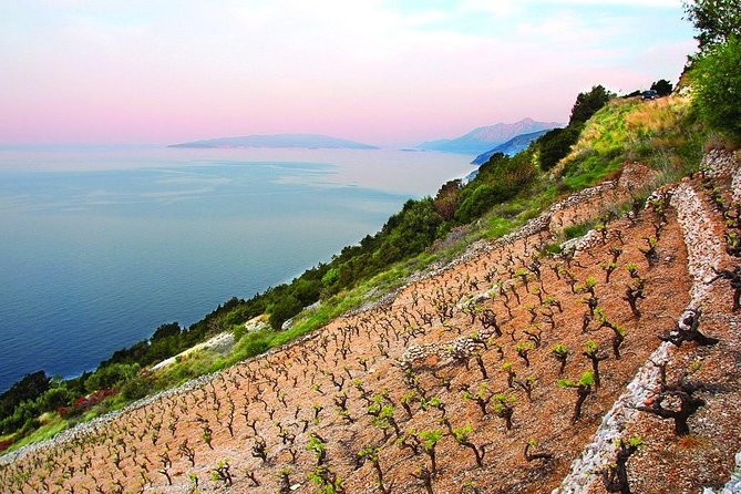 Classic Tour with Wine Tastings from Dubrovnik - Key Points at a Glance