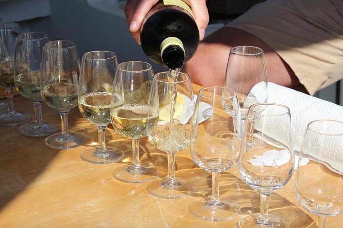 Classic Tour with Wine Tastings from Dubrovnik - The 8-Hour Reality: Timing, Pacing, and Energy Management