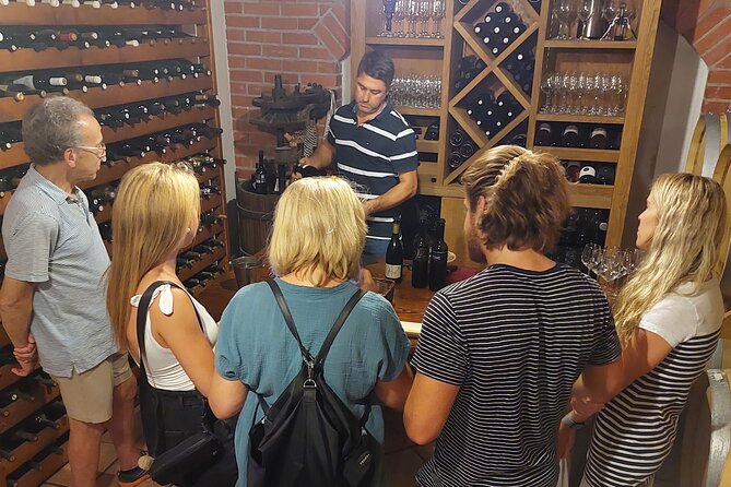Classic Tour with Wine Tastings from Dubrovnik - Price and Value: What You’re Paying For at $235.89