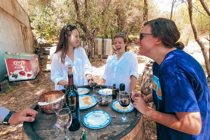 Coastal Vineyards: A Dream Wine Tour to Elaphiti Islands - Key Highlights Worth Marking