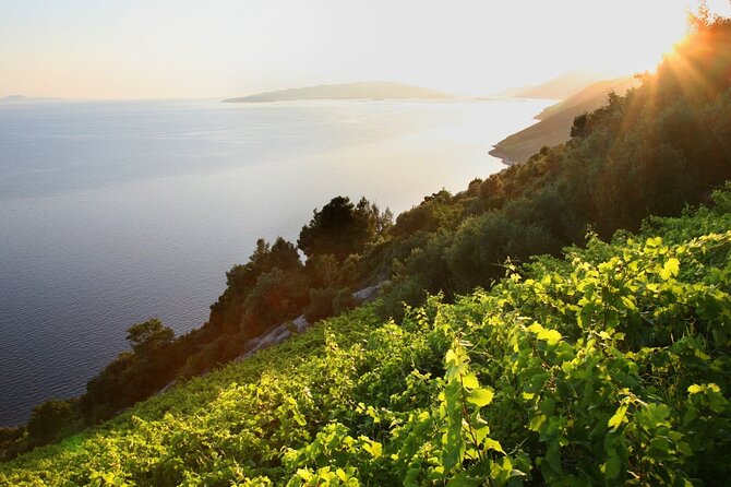 Culinary Experince from Dubrovnik PRIVATE 5course LUNCH included - Stop 4: Pelješac Bridge quick views and what it connects
