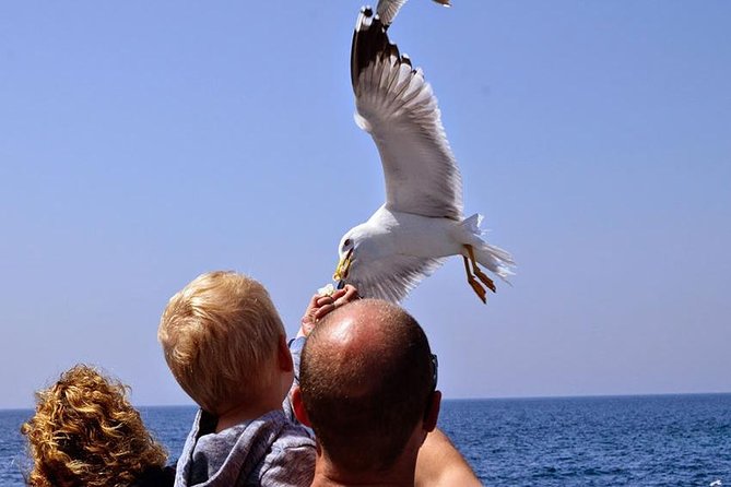 Day Cruise in the Elafiti Islands from Dubrovnik - Šipan: more monasteries, gardens, and island quiet