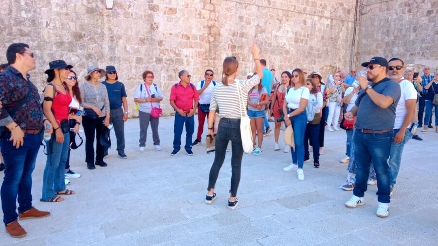 Dubrovnik: 1.5-Hour Guided Old Town Walking Tour - Stradun and Cathedral Stops: Getting Your Bearings in the Main Axis
