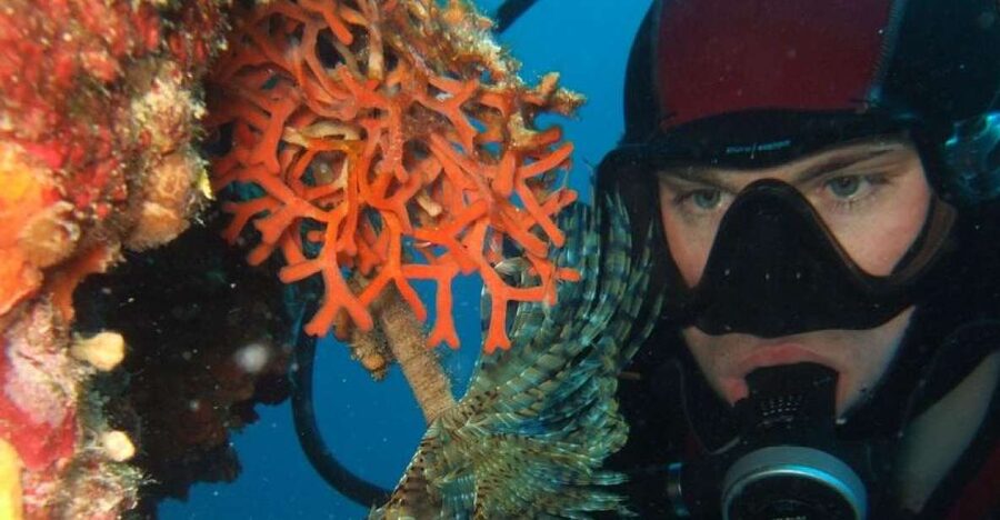 Dubrovnik: 1-Day Diving Package - Key things I’d bet on in this Dubrovnik scuba day