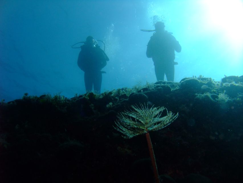 Dubrovnik: 1-Day Diving Package - Who this scuba day suits best