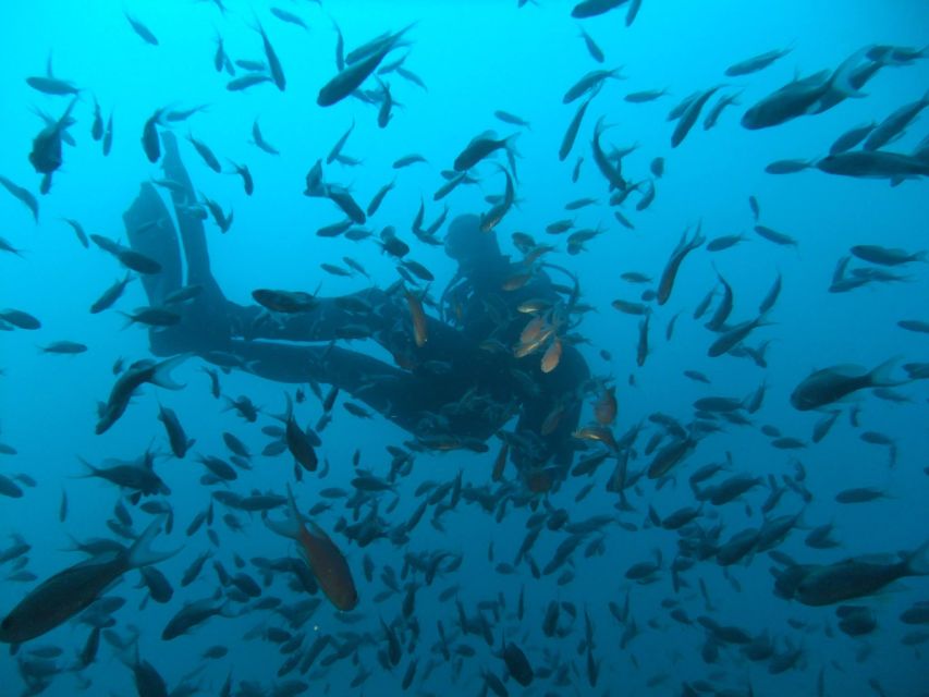 Dubrovnik: 1-Day Diving Package - Small-group matching: the difference between stressful and fun