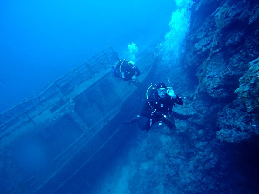 Dubrovnik: 1-Day Diving Package - Shore sites near Dubrovnik: what you might see from the beach