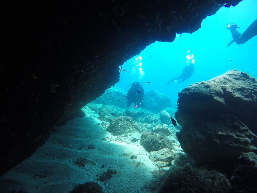 Dubrovnik: 1-Day Diving Package - Cold-water reality check (and why it changes your plan)