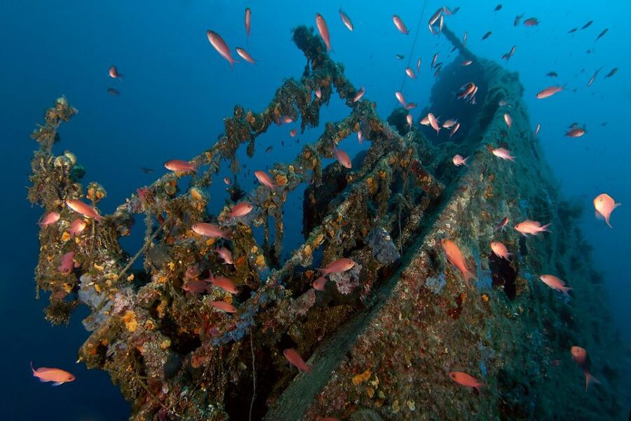 Dubrovnik: 1-Day Diving Package - The 1-day schedule: what the timing really feels like
