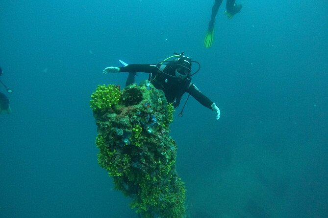 Dubrovnik 1 Dive for Certified Divers - Weather rules in Dubrovnik: why your exact underwater spot may shift