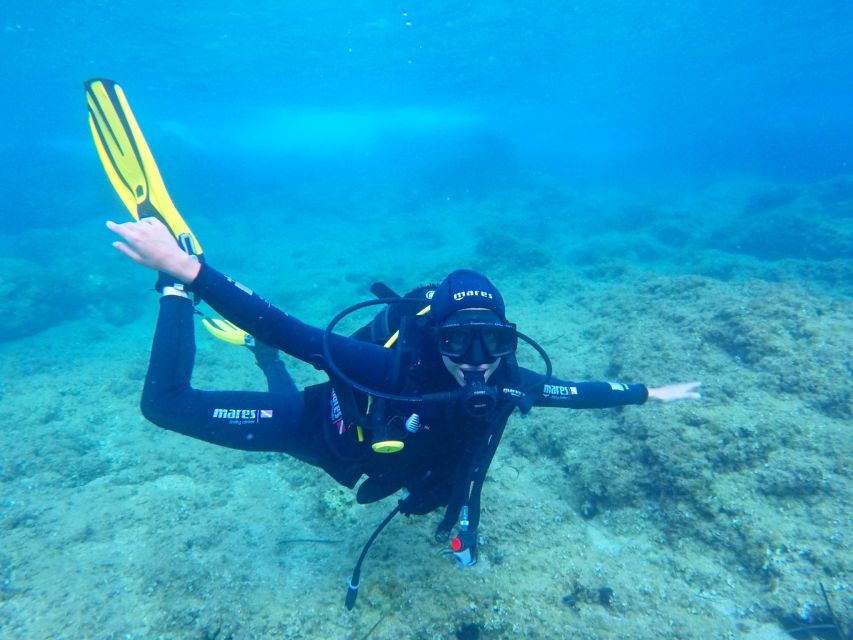 Dubrovnik 2-Hour Uncertified Divers Introductory Dive - Meeting at the Blue Planet office inside Dubrovnik Palace