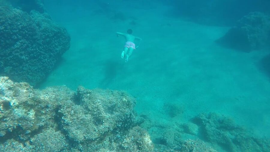 Dubrovnik:All inclusive Private Tour with Blue Cave Visit - Food and drinks: the included coolbox plus a real lunch plan