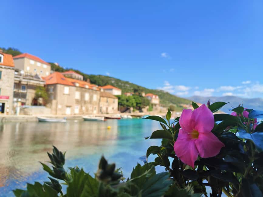 Dubrovnik: Blue Cave & Elaphiti Islands Full-Day Boat Tour - On-Board Comfort: Snacks, Water, and Music That Stays Reasonable