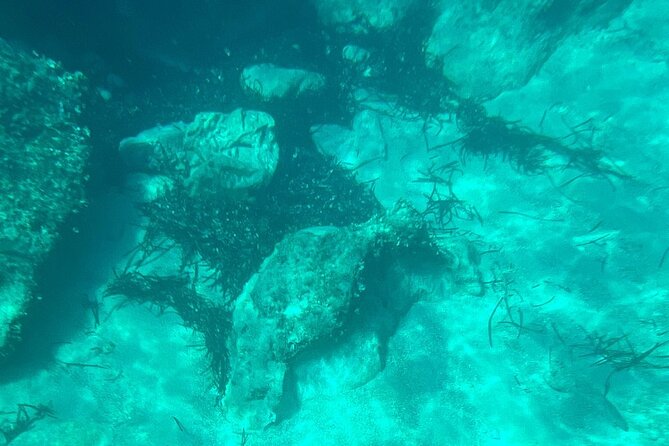 Dubrovnik: Blue Cave & Elaphiti islands & Optional Lunch Onboard - How the 6.5 Hours Really Work: Timing and Pace