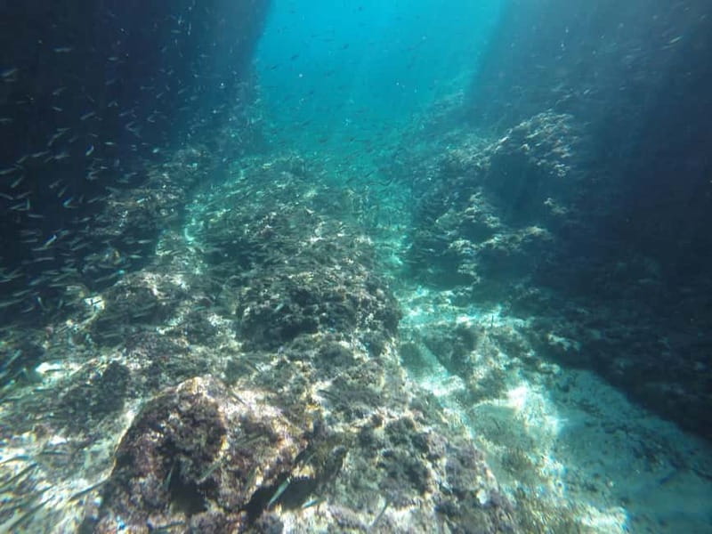 Dubrovnik: Blue Cave, Green Cave & Sunj Beach Speedboat Tour - Who this tour fits best (and who should skip it)
