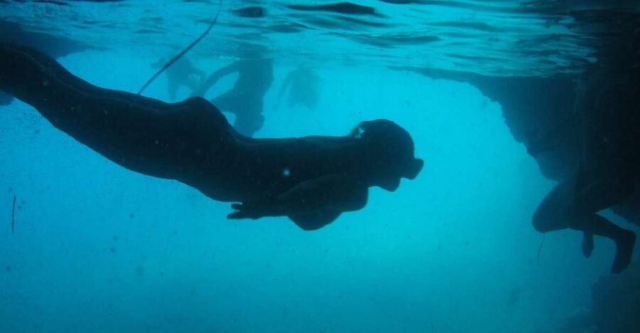 Dubrovnik: Blue Cave & Sunj Beach Boat Tour with Drinks - Three Green Caves: A Natural Color Trick You Swim Through