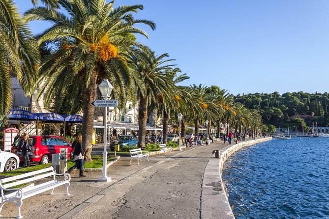 Dubrovnik Coast and Cavtat Shore Excursion - Stop-by-stop: bridge, Ombla spring, and what Mount Srd is really for