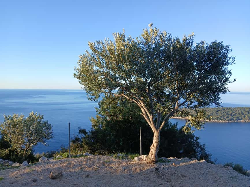 Dubrovnik: Early Nature Walk with a Historical Twist - Key points that make this tour worth your time