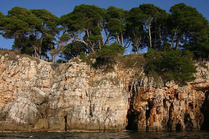 Dubrovnik Elafiti Islands Cruise with Lunch, Drinks and Pickup - Stop 1: Koločep island time—swim first, wander second