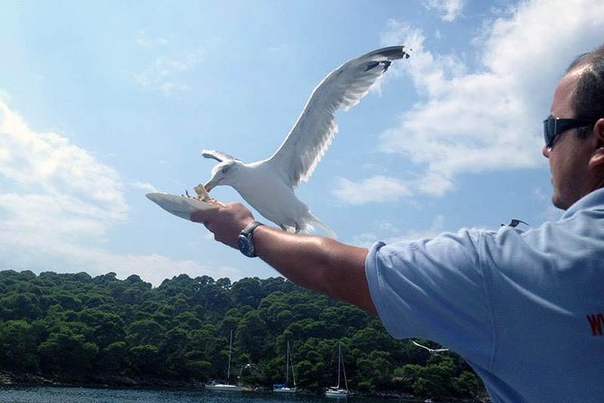 Dubrovnik Elafiti Islands Cruise with Lunch, Drinks and Pickup - Lunch on board plus drinks: simple food, real value