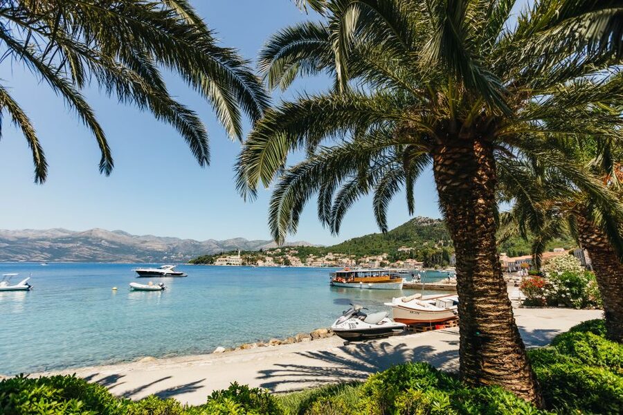 Dubrovnik: Elaphite Island Cruise w/ Drinks & Optional Lunch - Stop Three: Koločep for Pine Shade and Clear-Water Breaks