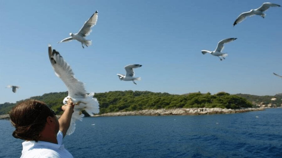 Dubrovnik: Elaphiti Islands Boat Cruise with Lunch & Drinks - Lunch on Board: Simple Croatian Comfort Food, Served During the Cruise