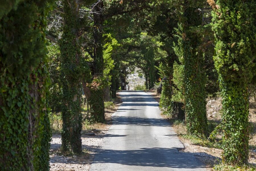 Dubrovnik: Game of Thrones Locations Driving Tour - Meeting up at Pile Gate or Port Gruž (and why it matters)