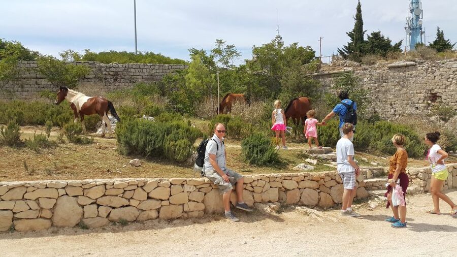 Dubrovnik: Game of Thrones Locations Driving Tour - The Trsteno Arboretum walk: where “King’s Landing” clicks into place