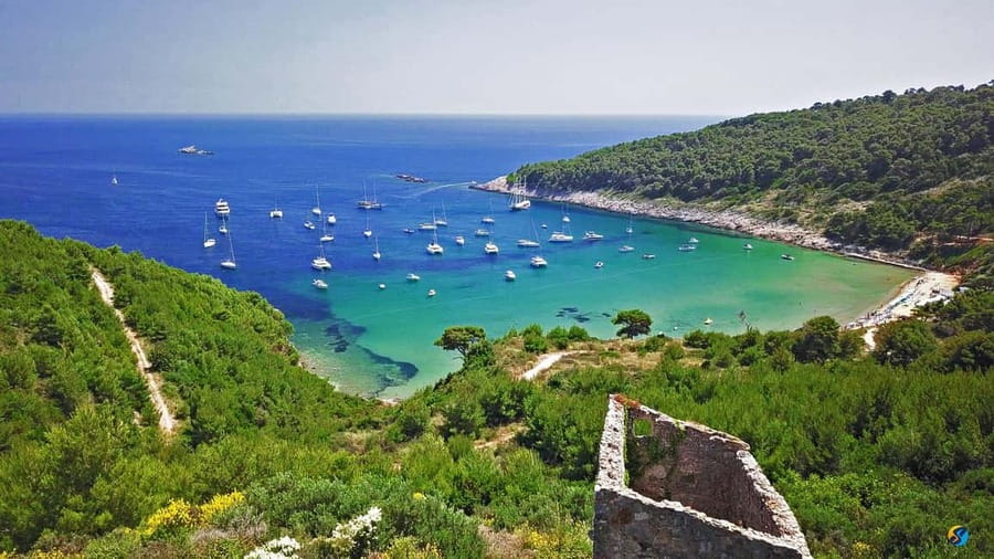 Dubrovnik: Half-Day Boat Tour to Elaphite Islands 4h - The cave route on Koločep: speedboat photo stops plus Blue Cave snorkeling