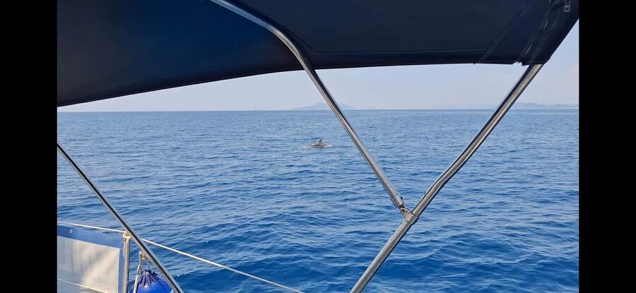 Dubrovnik:Half Day Private Boat Tour to Elaphiti & Blue Cave - Blue Cave Near Kolocep: Cool Water, Real Swim Decisions