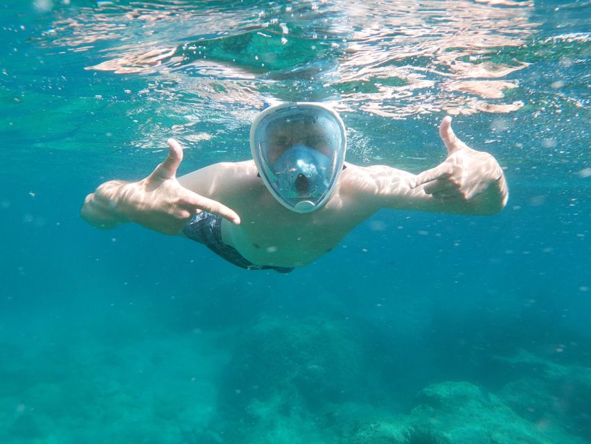 Dubrovnik: Half-Day Private Boat Trip to Elafiti Islands - Key Highlights You’ll Actually Notice