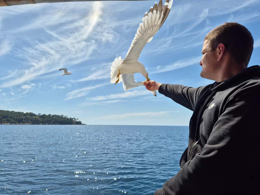 Dubrovnik: Island Boat Tour with Drinks & Lunch - Trsteno Arboretum Transfer: A Short Land Stretch Before Sea Time