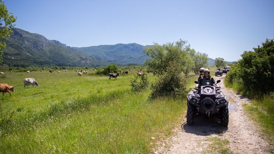 Dubrovnik: Kojan Koral ATV Quad Safari with transport - Wine, fruit snacks, and the end-of-tour feeling