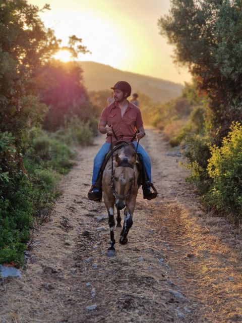 Dubrovnik Kojan Koral: Horseback Riding - Key things to know before you ride