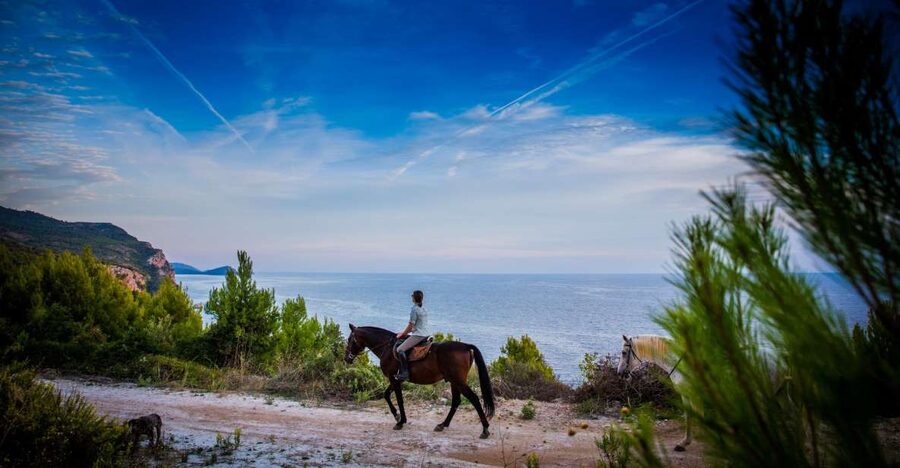 Dubrovnik Kojan Koral: Horseback Riding - Konavle Valley on horseback: why this feels like real Croatia