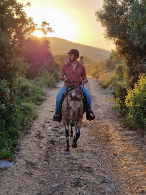 Dubrovnik Kojan Koral: Horseback Riding - The ride itself: woodland trails, rocky ground, and Popovići remains