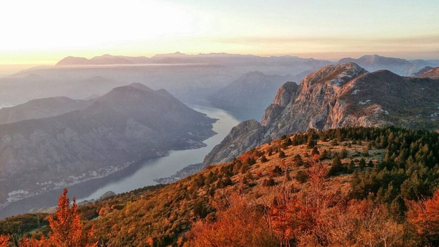 Dubrovnik: Kotor, Perast, Sveti Stefan, and Budva Day Trip - The guide experience: why names like Aki and Elmir matter