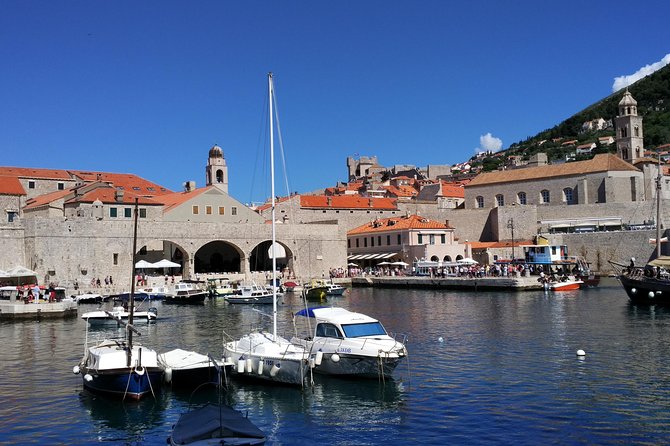 Dubrovnik Old Town: Small-Group Walking Tour With A Local - Stradun and the synagogue stop that adds perspective