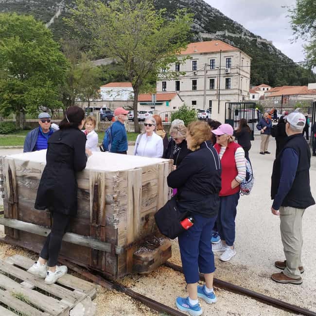 Dubrovnik: Oyster, Mussles, and Wine Tasting Tour in Ston - Pelješac wine tasting: what you should look for in the tasting stop