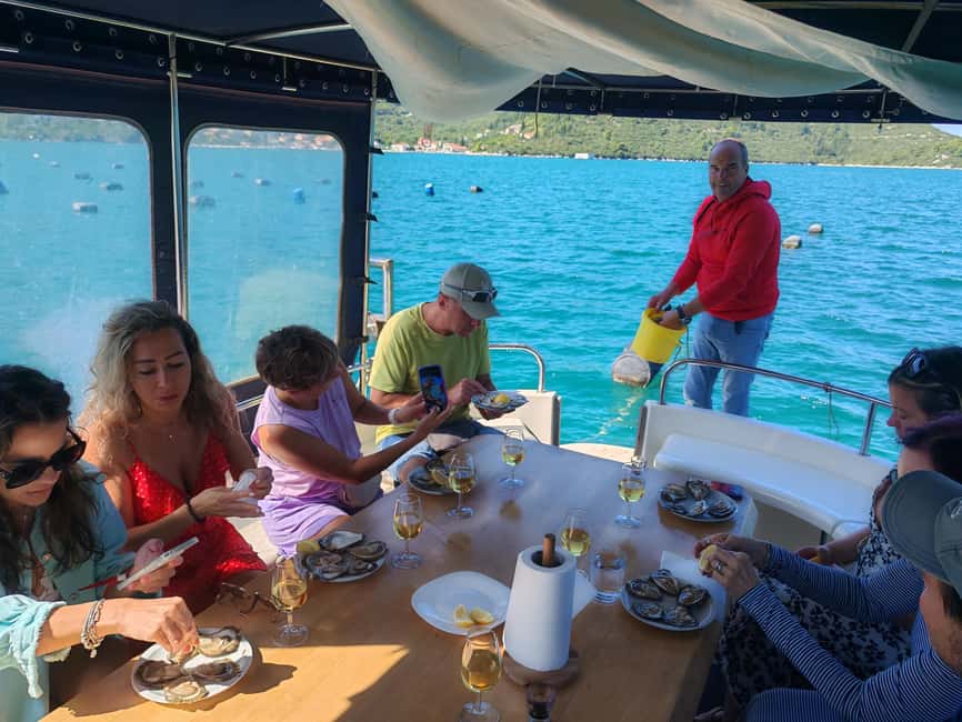 Dubrovnik: Oyster, Mussles, and Wine Tasting Tour in Ston - What group size and guiding style feel like in real life