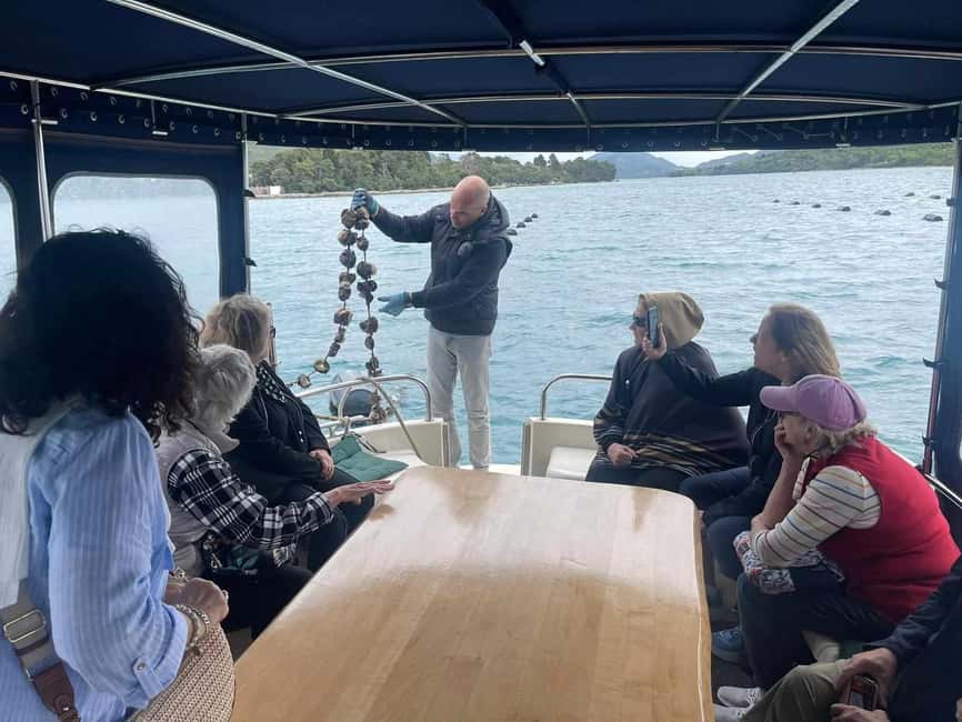 Dubrovnik: Oyster, Mussles, and Wine Tasting Tour in Ston - Who should book this Ston oyster and wine tour (and who might not)