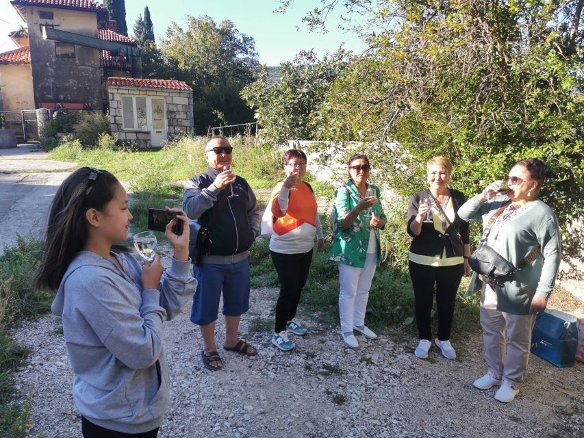 Dubrovnik: Panorama Tour with Free Time in the Old Town - What You’re Really Paying For: Value at $58